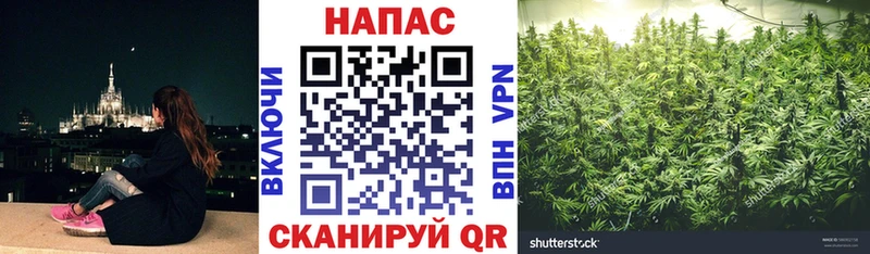 Магазины продажи наркотиков Нерчинск СОЛЬ  МДМА  Cocaine  МАРИХУАНА 