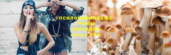 СК Абаза