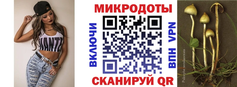 Псилоцибиновые грибы мухоморы  продажа наркотиков  KRAKEN ссылки  Нерчинск 